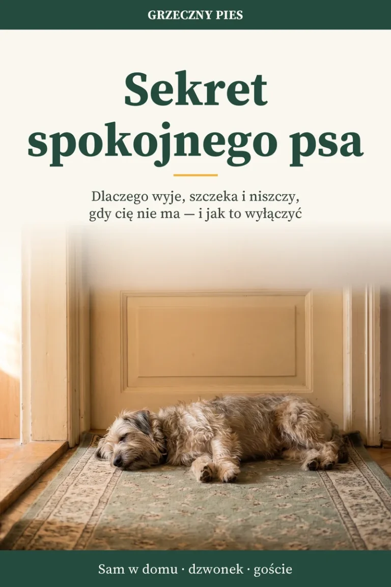 Okładka: Sekret spokojnego psa