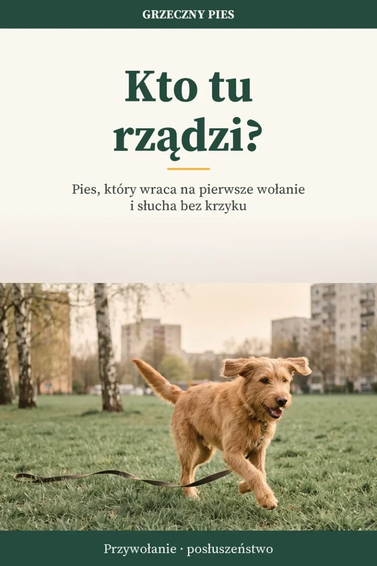 Okładka: Kto tu rządzi?
