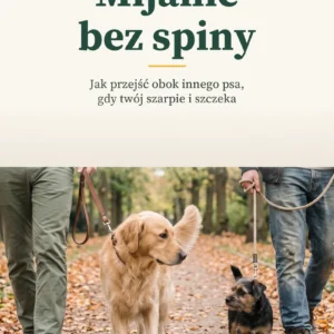 Okładka: Mijanie bez spiny