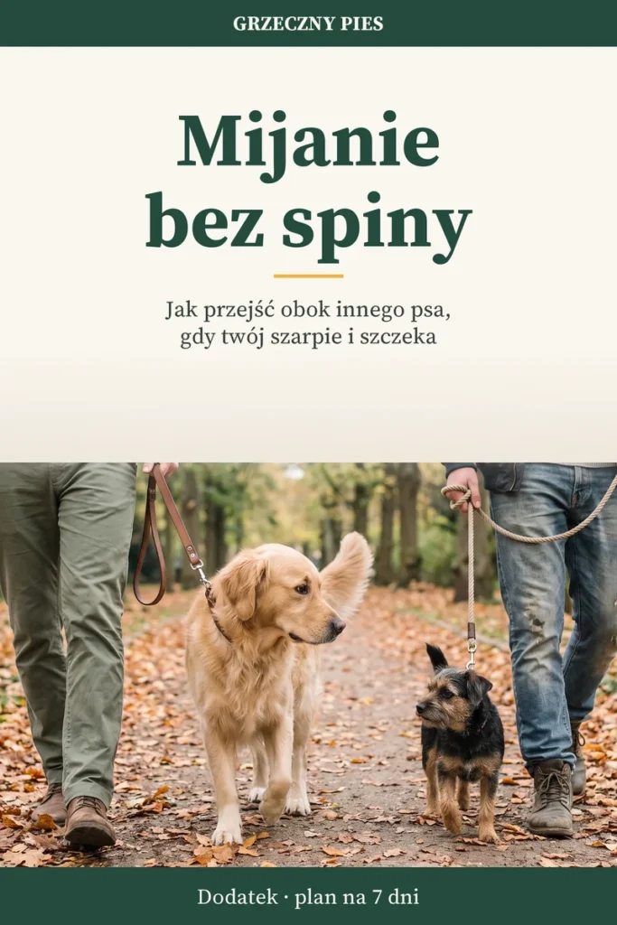 Okładka: Mijanie bez spiny