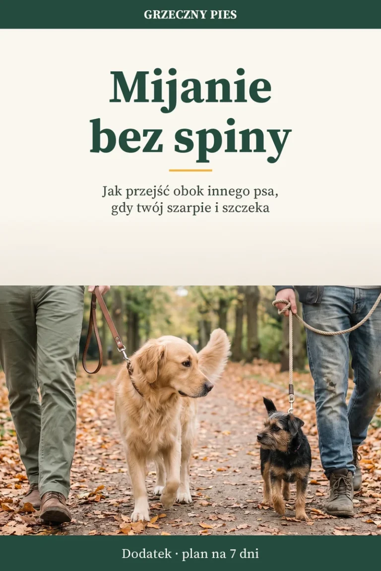 Okładka: Mijanie bez spiny