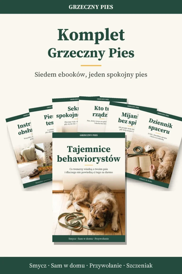 Okładka: Komplet Grzeczny Pies